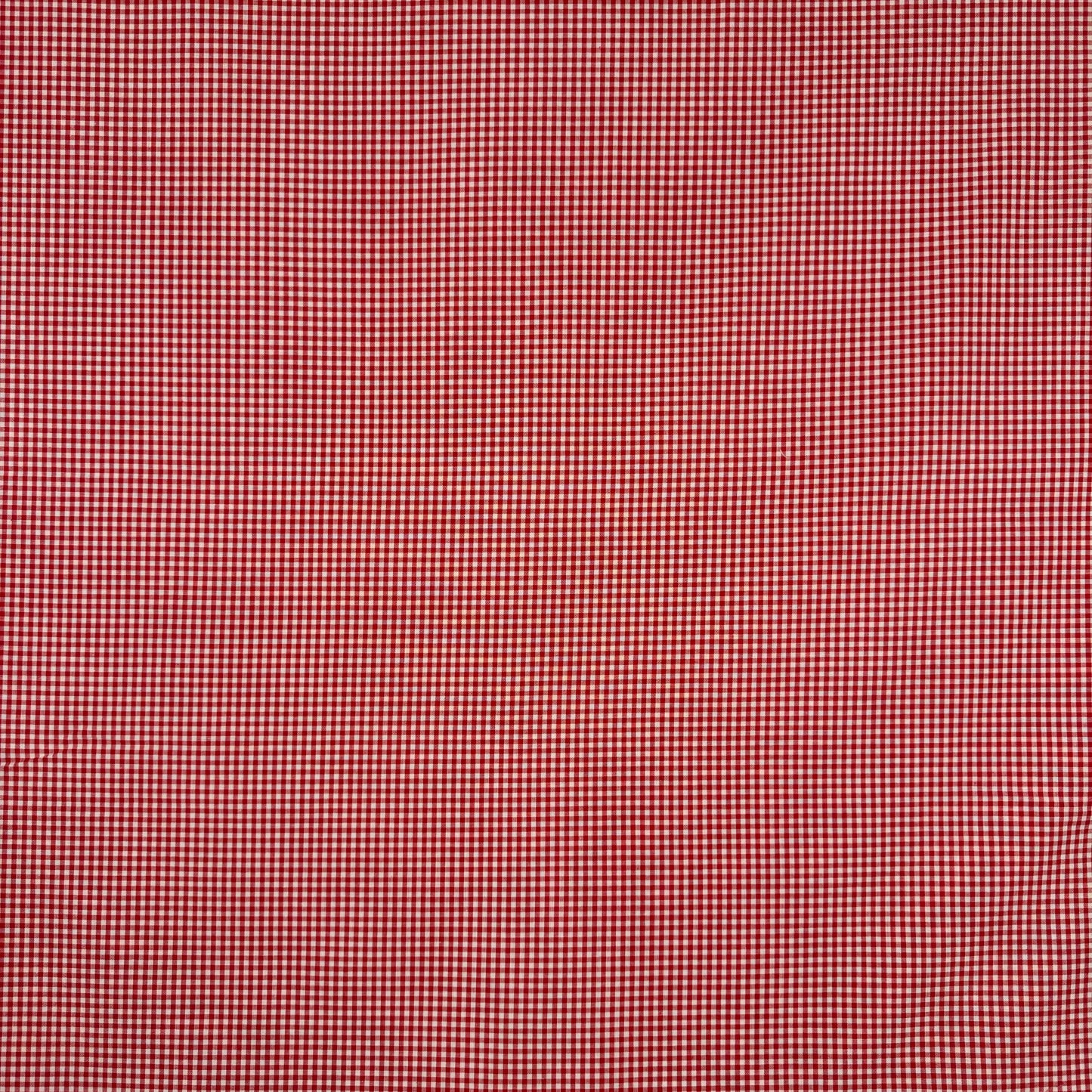 Red and White, Yarn Dyed Gingham - Cotton SS4