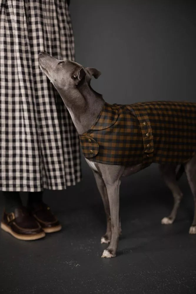 Merchant and Mills The Barka Pattern