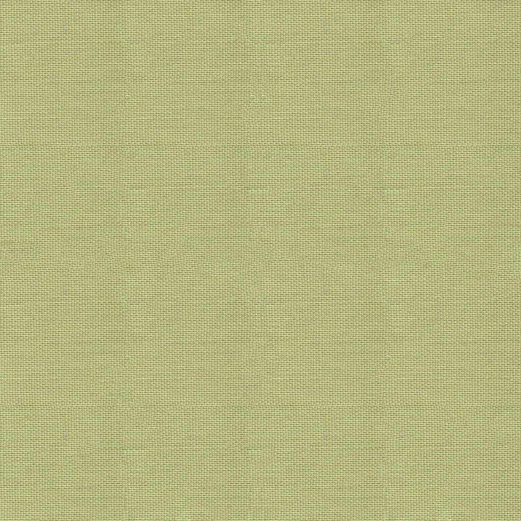 Dashwood POP - Various Colours