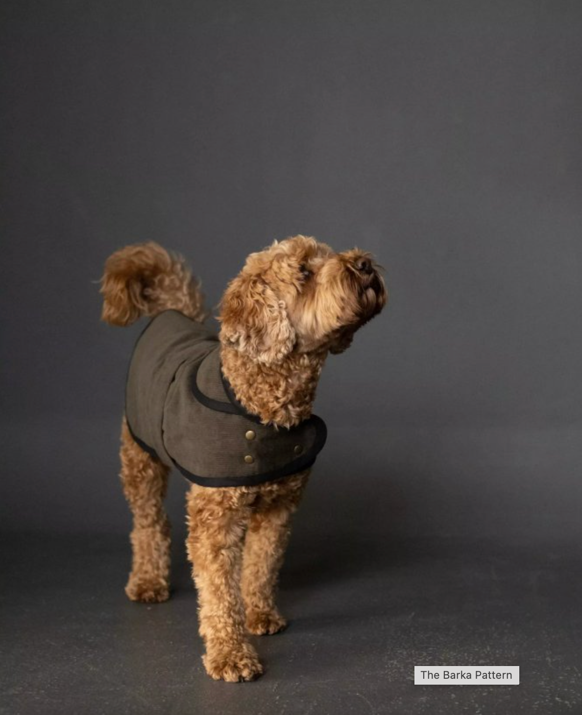 Merchant and Mills The Barka Pattern