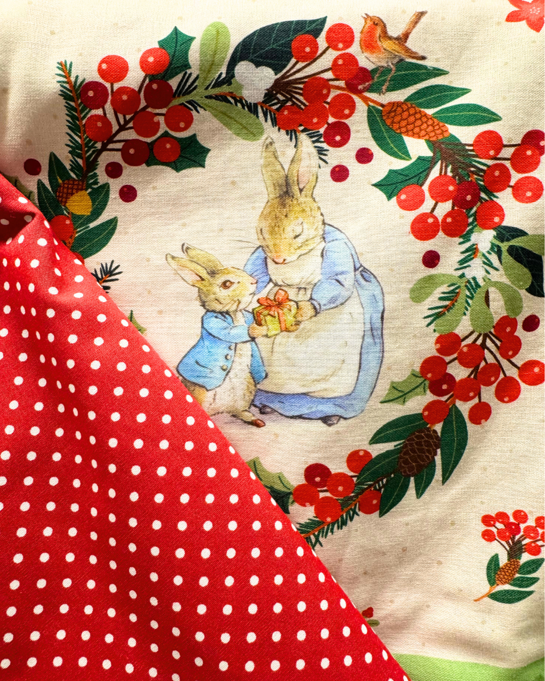 Peter Rabbit Advent Calendar Kit
