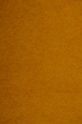 Butternut Squash Felt