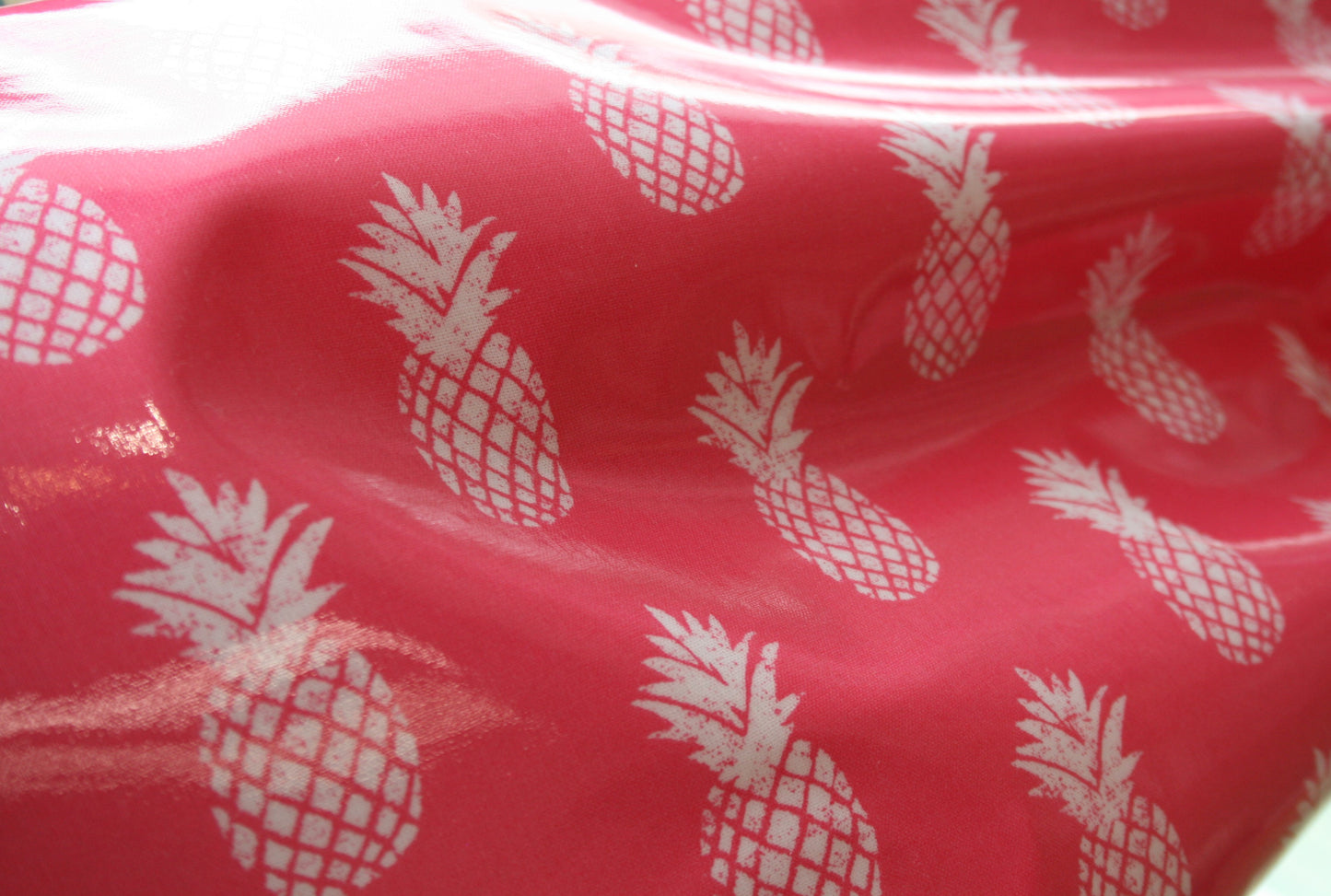 Pink Pineapples - PVC