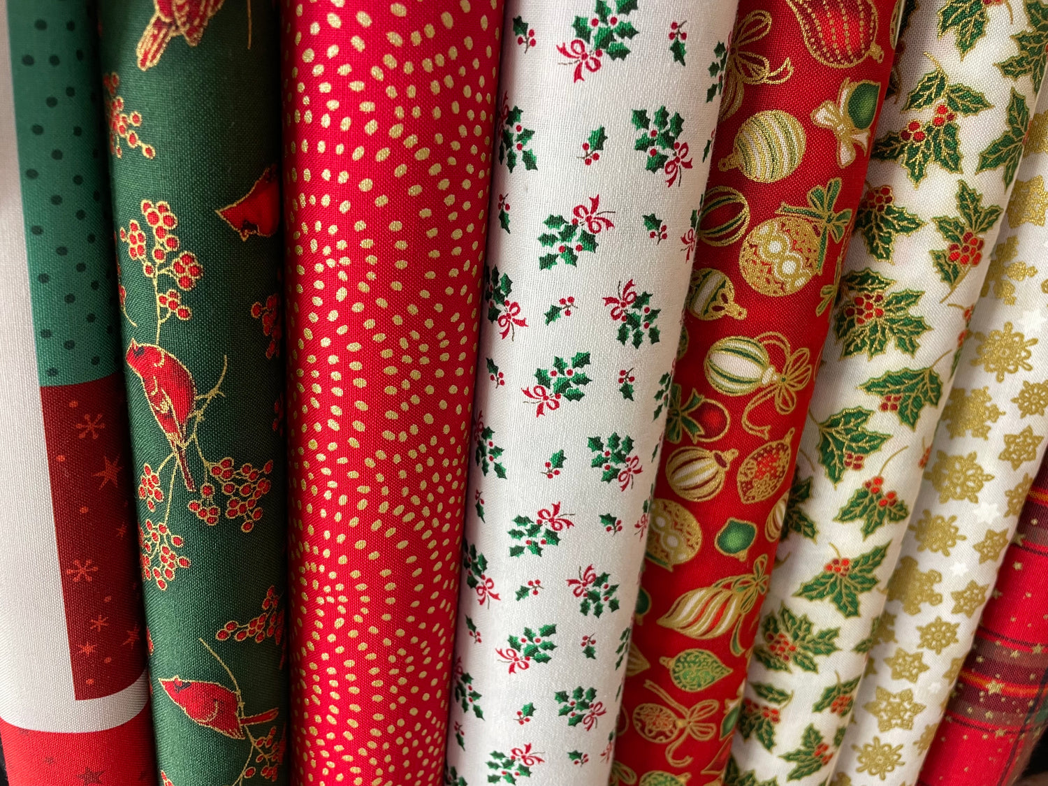 Animal Crackers Dashwood Studio