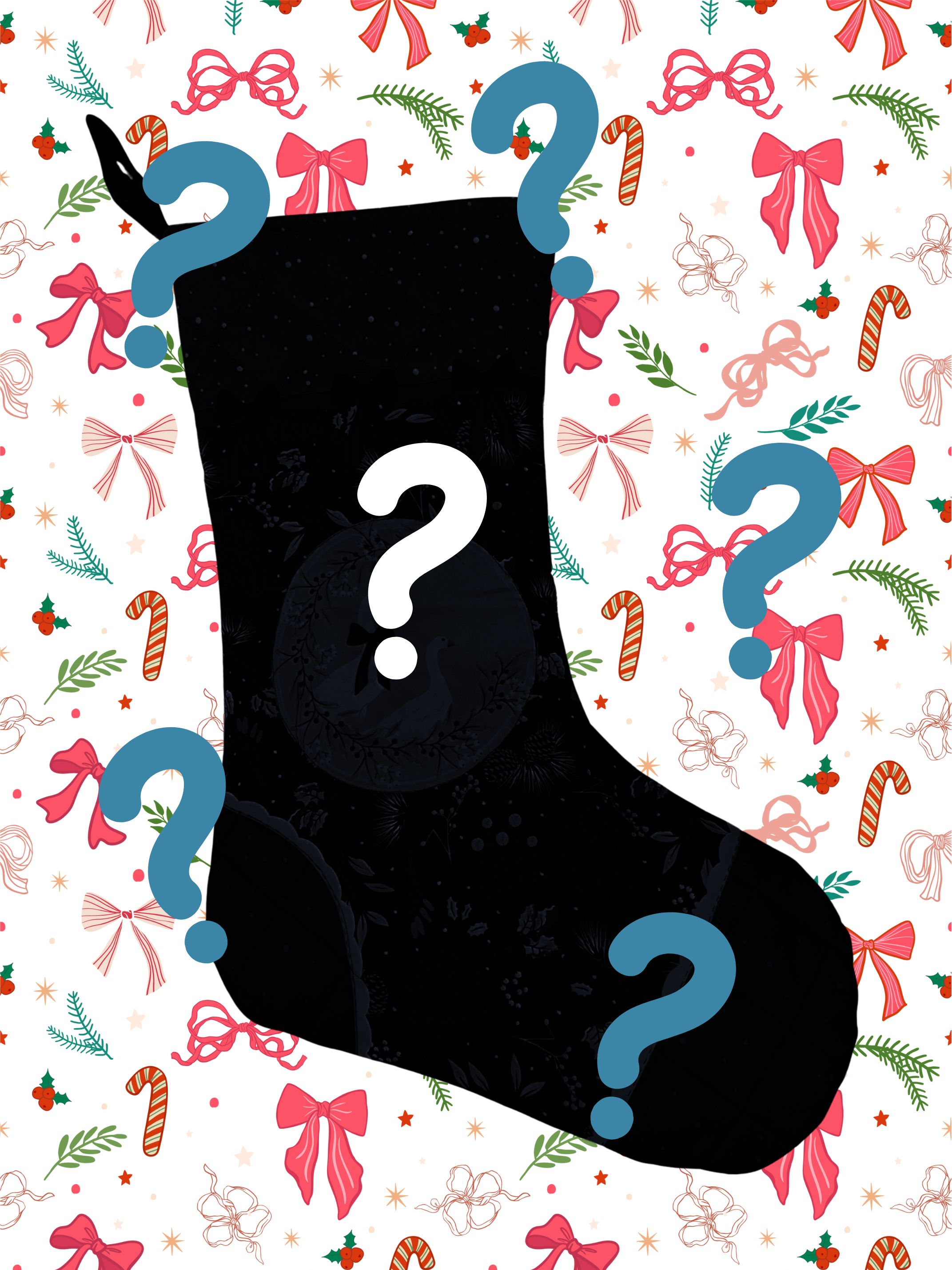 Mystery Box Stocking Kit – The Carolyn Rose School of Sewing