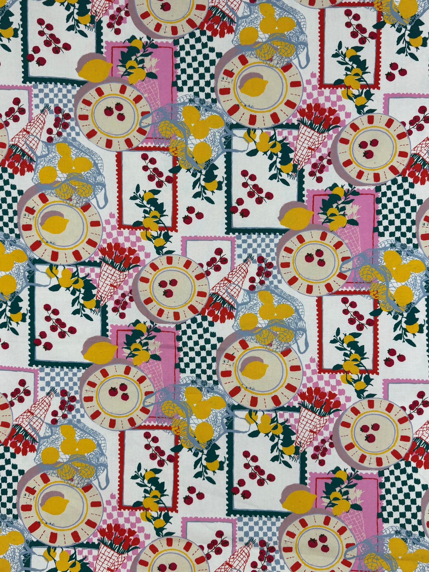 Canvas Digital Fruits Off White with Multi-colours