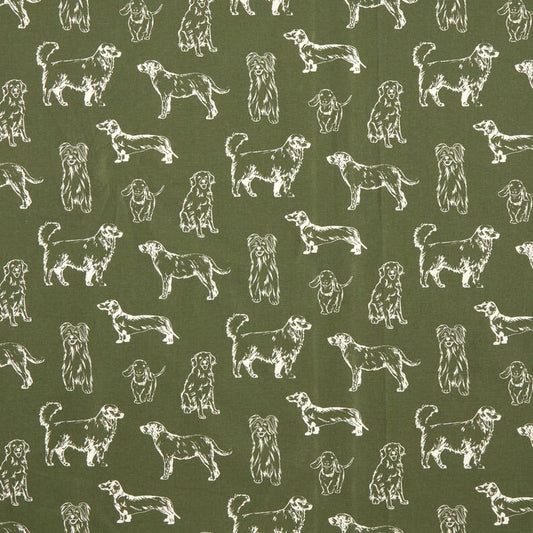 Olive dog canvas