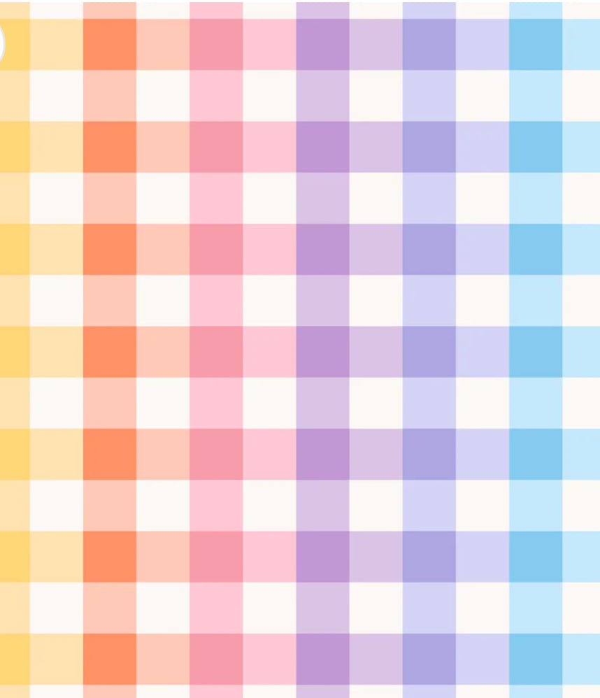 Rainbow Gingham- Large - Viscose